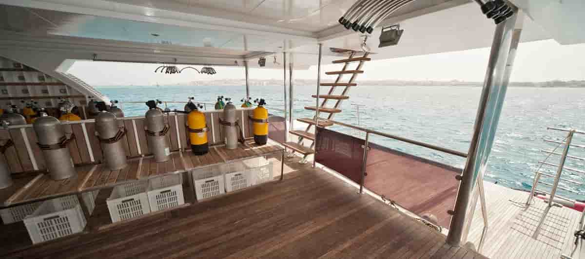 Thumbnail 4 Thumbnail 4