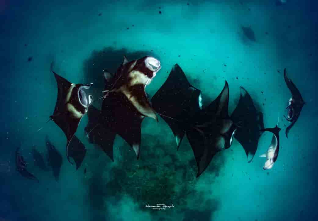 Thumbnail 8 Thumbnail 8