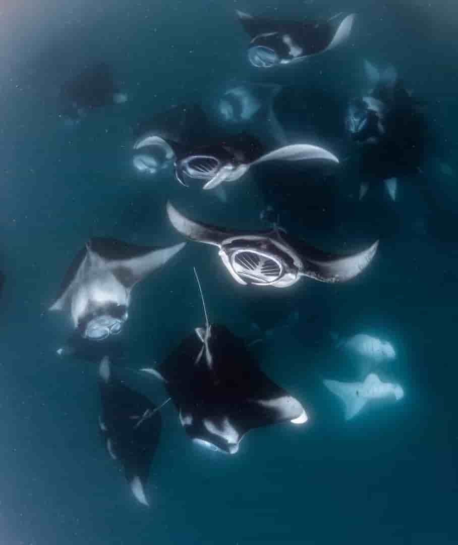 Thumbnail 9 Thumbnail 9