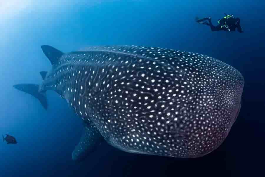 Thumbnail 14 Thumbnail 14