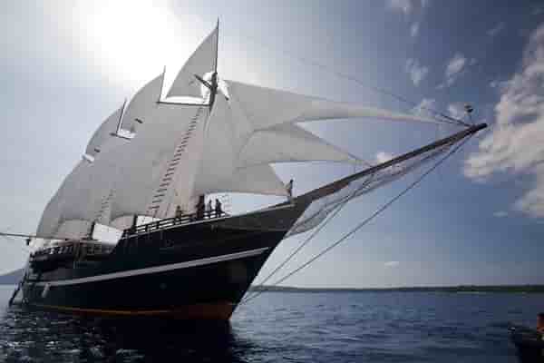 Thumbnail 1 Thumbnail 1