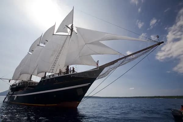 Dewi Nusantara - image Dewi Nusantara - image