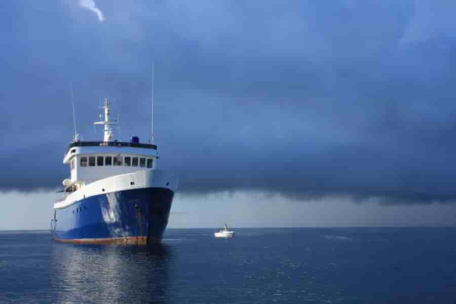 Thumbnail 5 Thumbnail 5