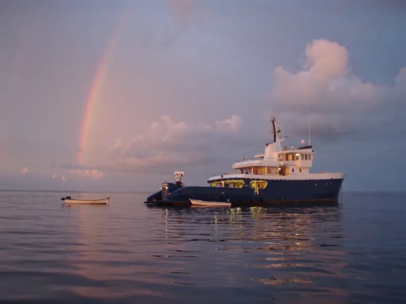 Maya’s Dugong - image Maya’s Dugong - image