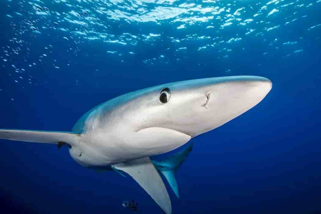 Thumbnail 5 Thumbnail 5