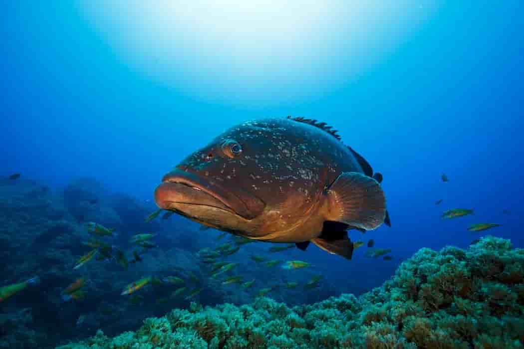 Thumbnail 9 Thumbnail 9