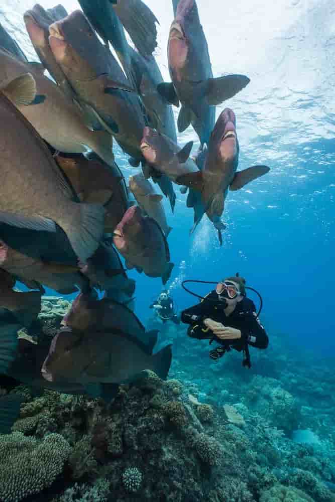 Thumbnail 4 Thumbnail 4