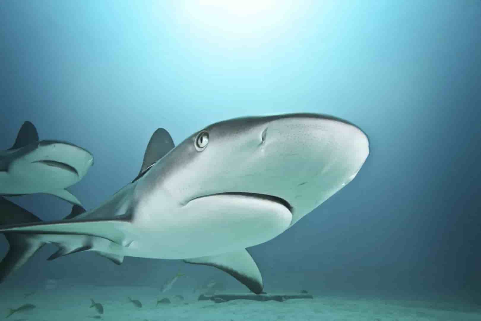 Thumbnail 7 Thumbnail 7