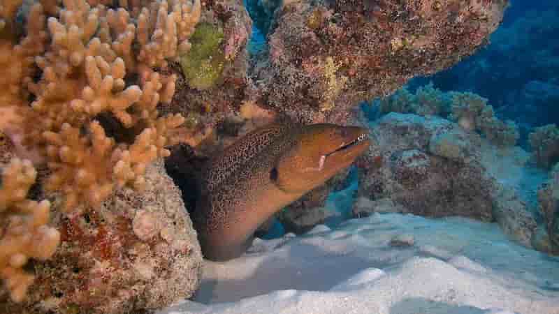 Thumbnail 8 Thumbnail 8