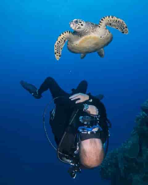 Thumbnail 10 Thumbnail 10