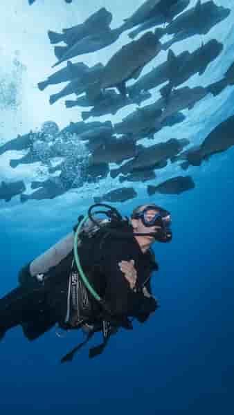 Thumbnail 11 Thumbnail 11