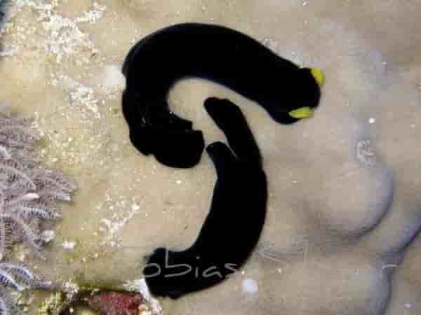 Thumbnail 4 Thumbnail 4