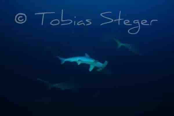 Thumbnail 5 Thumbnail 5