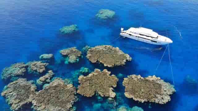 Thumbnail 2 Thumbnail 2