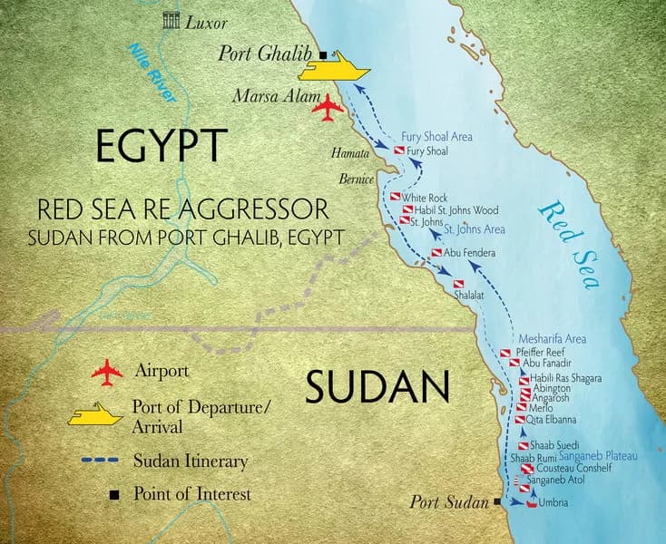 Red Sea RE Aggressor - image Red Sea RE Aggressor - image