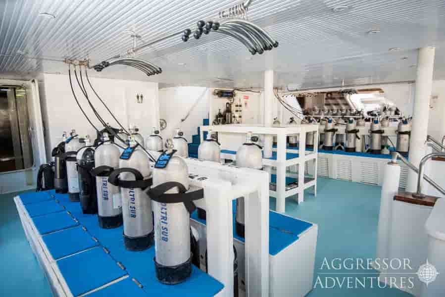 Thumbnail 9 Thumbnail 9