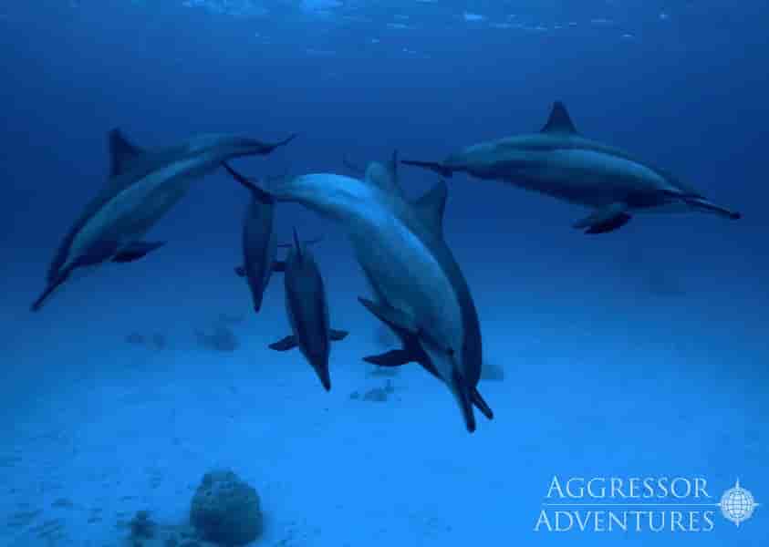 Thumbnail 15 Thumbnail 15