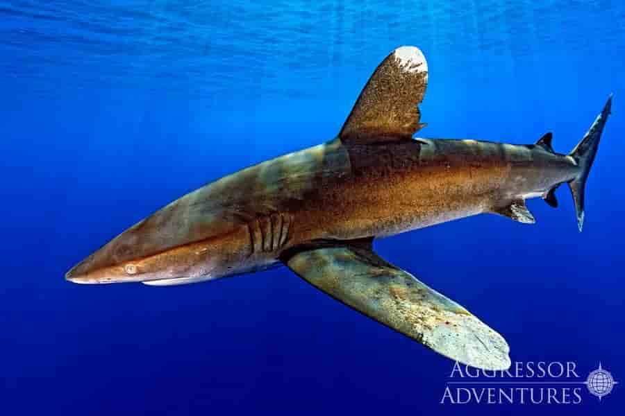 Thumbnail 19 Thumbnail 19