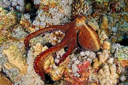 Thumbnail 20 Thumbnail 20