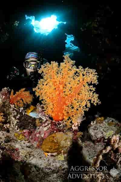 Thumbnail 21 Thumbnail 21