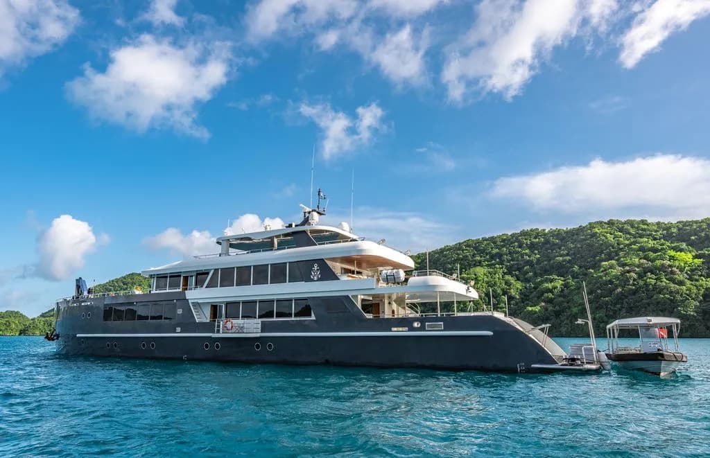 Black Pearl - image Black Pearl - image