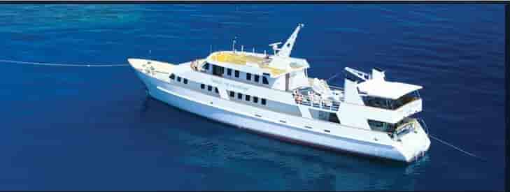 Thumbnail 1 Thumbnail 1