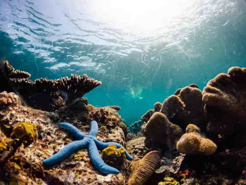 Thumbnail 1 Thumbnail 1