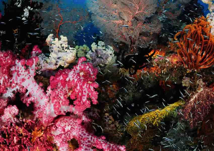 Thumbnail 12 Thumbnail 12