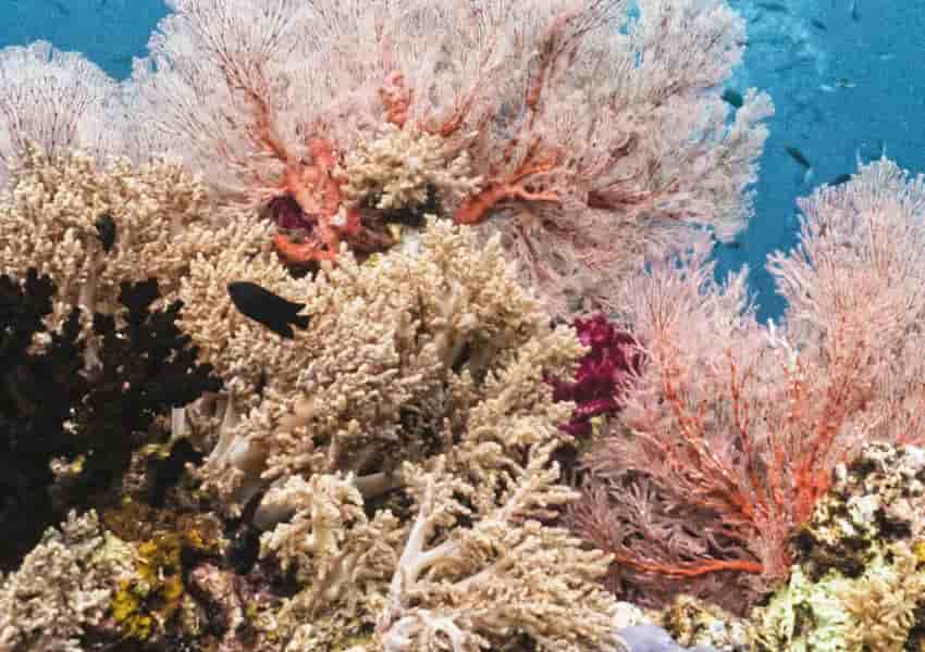 Thumbnail 13 Thumbnail 13