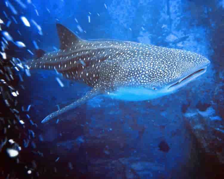 Thumbnail 1 Thumbnail 1