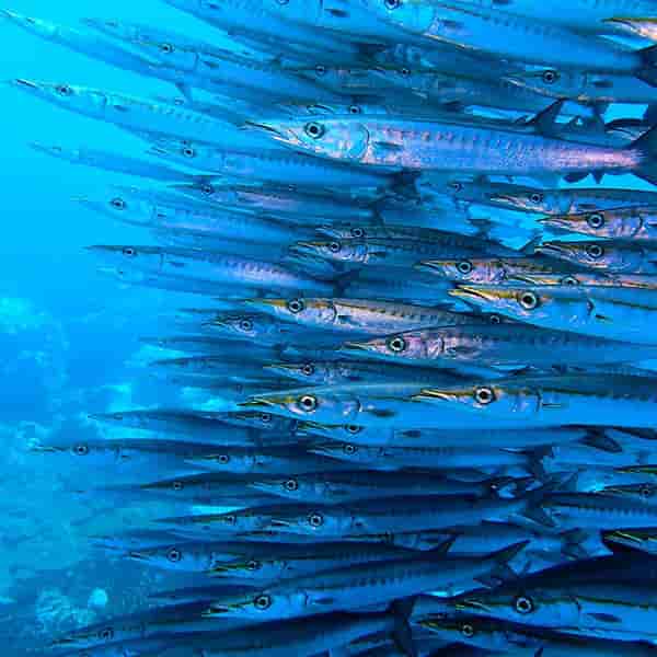 Thumbnail 3 Thumbnail 3