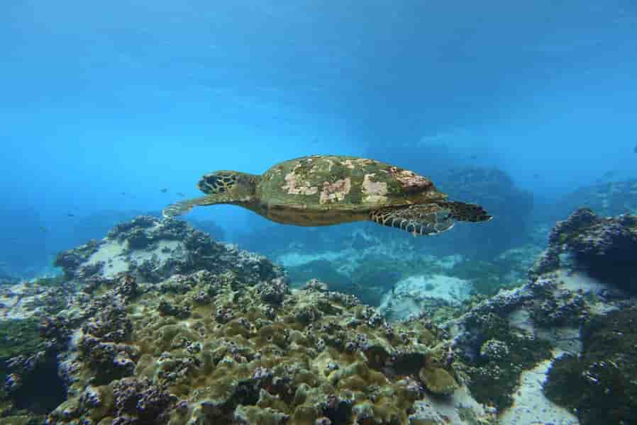 Thumbnail 4 Thumbnail 4