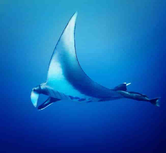 Thumbnail 7 Thumbnail 7