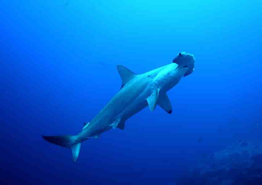 Thumbnail 8 Thumbnail 8