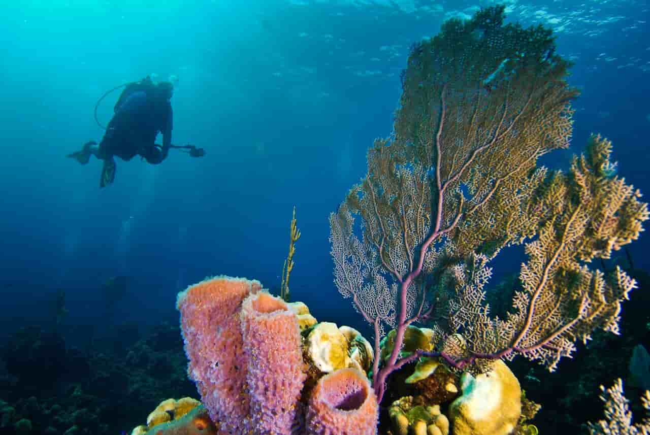 Thumbnail 3 Thumbnail 3