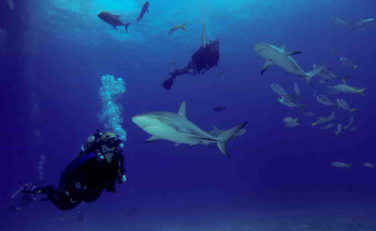 Thumbnail 4 Thumbnail 4