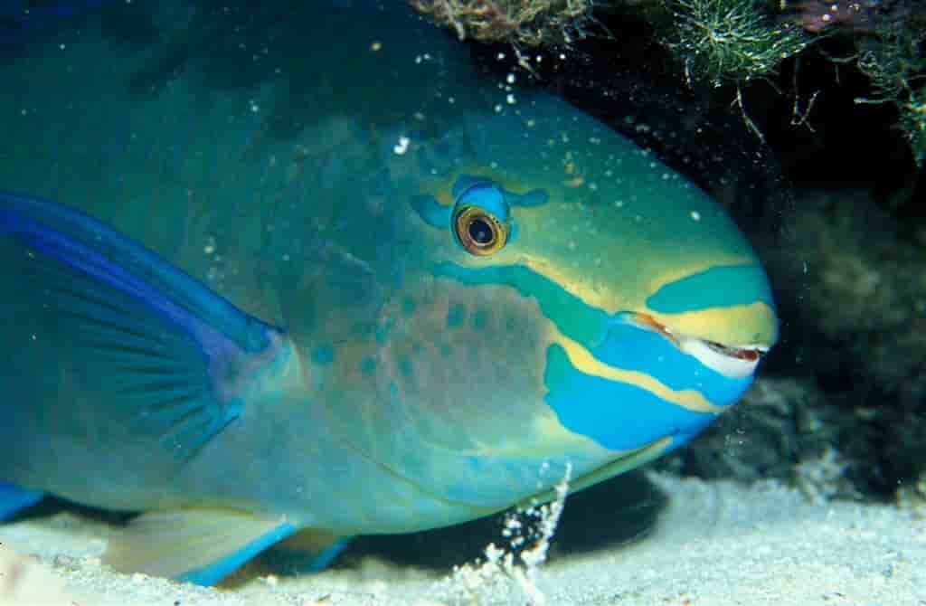 Thumbnail 5 Thumbnail 5