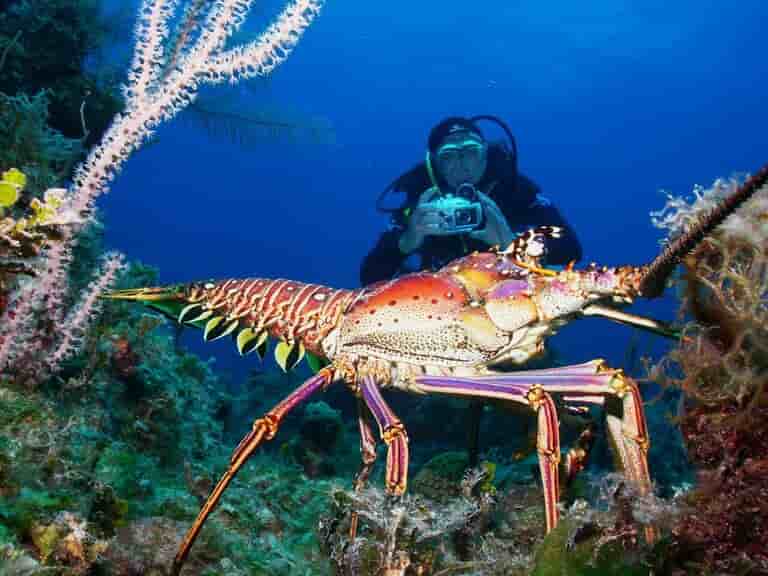 Thumbnail 6 Thumbnail 6