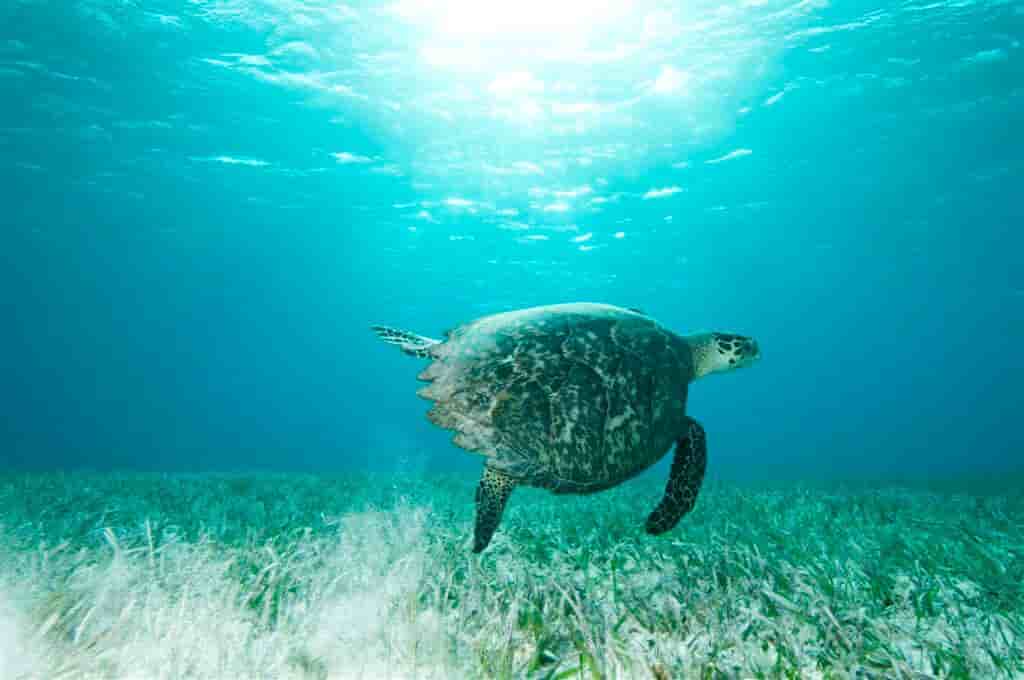 Thumbnail 7 Thumbnail 7