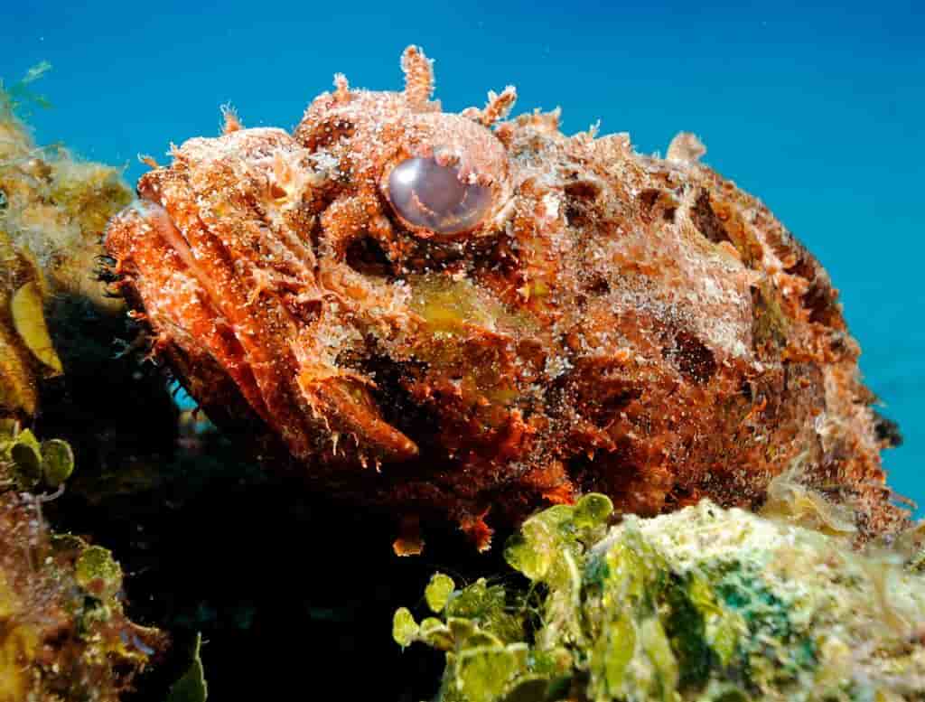 Thumbnail 8 Thumbnail 8