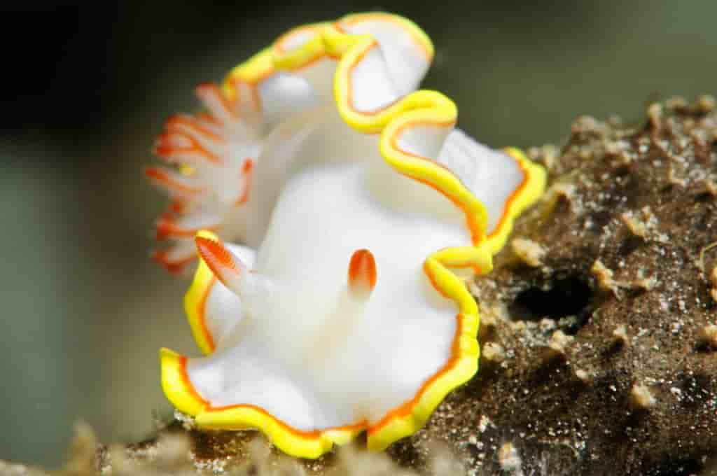 Thumbnail 9 Thumbnail 9