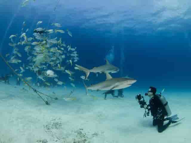 Thumbnail 10 Thumbnail 10