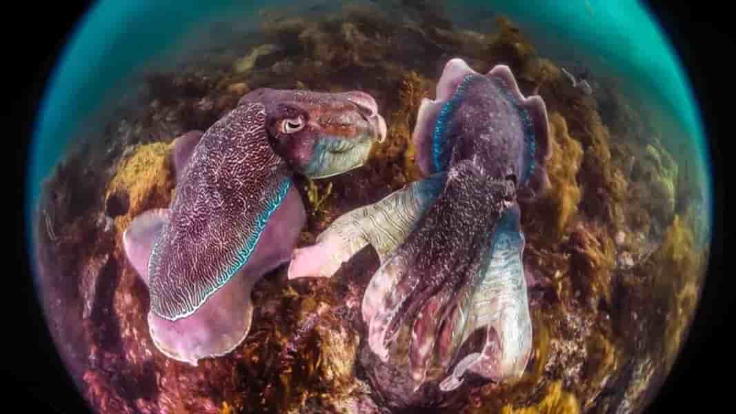 Thumbnail 6 Thumbnail 6