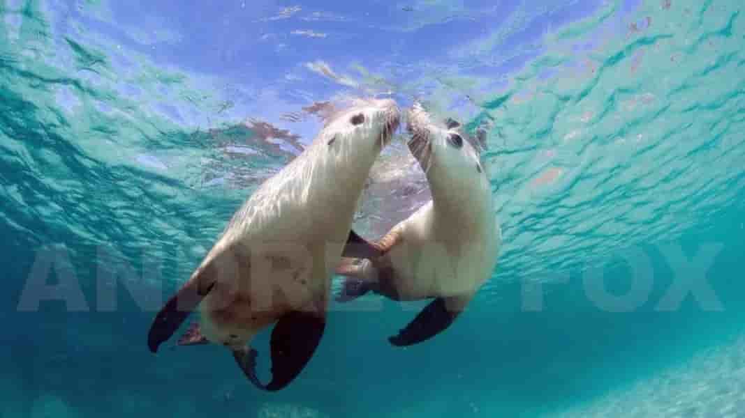 Thumbnail 8 Thumbnail 8