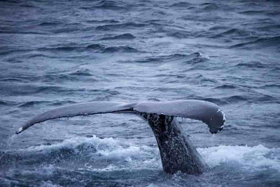 Thumbnail 8 Thumbnail 8