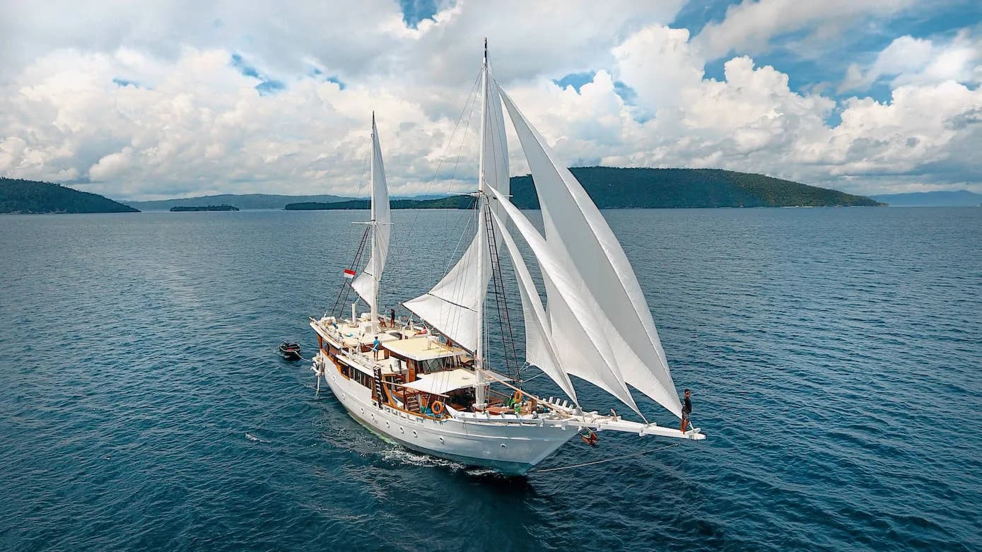 Teman - image Teman - image