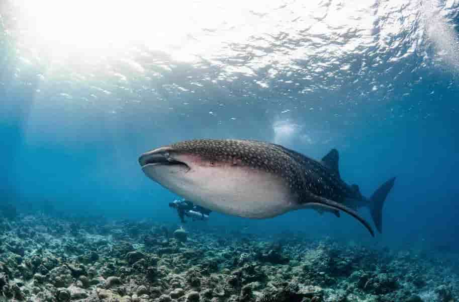 Thumbnail 8 Thumbnail 8