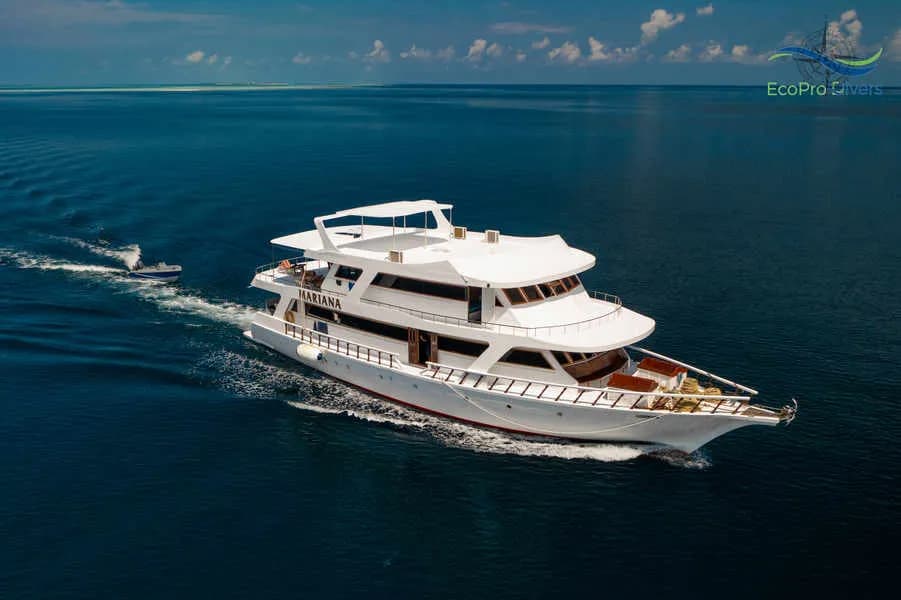 EcoPro Mariana - image EcoPro Mariana - image