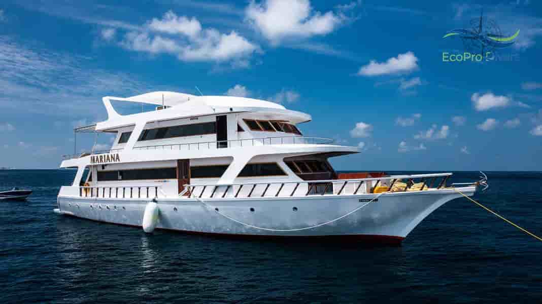 Thumbnail 11 Thumbnail 11