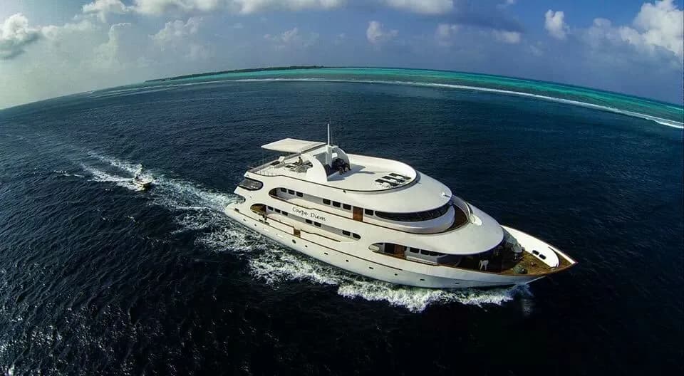 Carpe Diem - image Carpe Diem - image